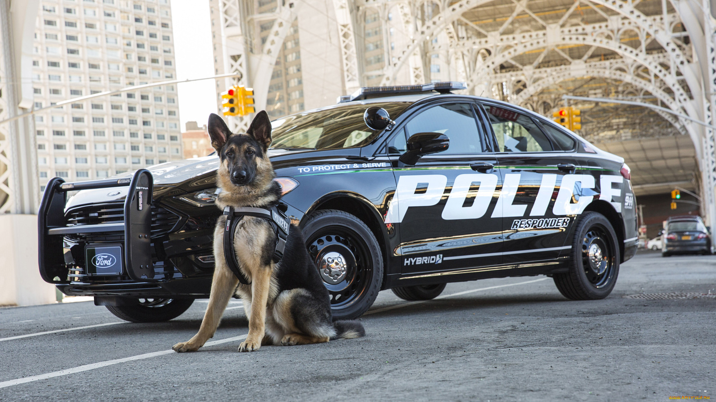 ford police responder hybrid sedan 2017, , , sedan, hybrid, responder, 2017, ford, police